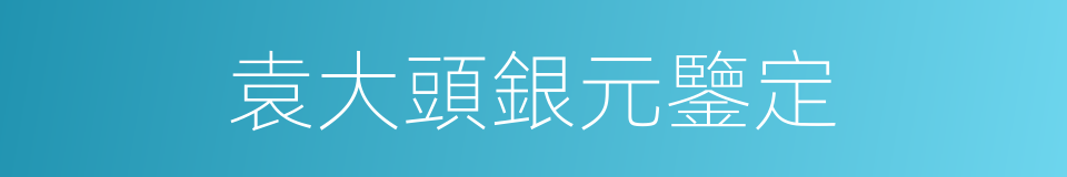 袁大頭銀元鑒定的同義詞