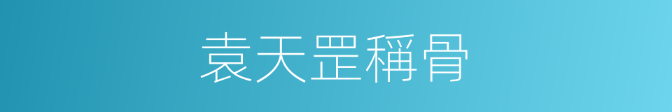 袁天罡稱骨的同義詞