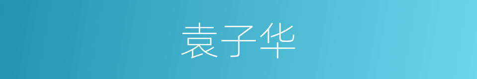 袁子华的同义词
