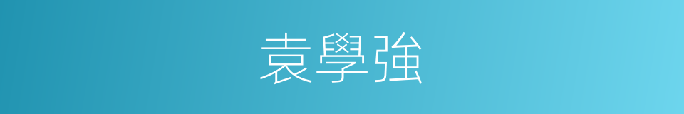 袁學強的同義詞