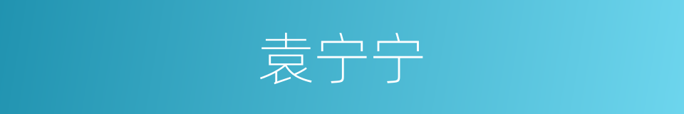 袁宁宁的同义词