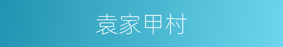 袁家甲村的同义词