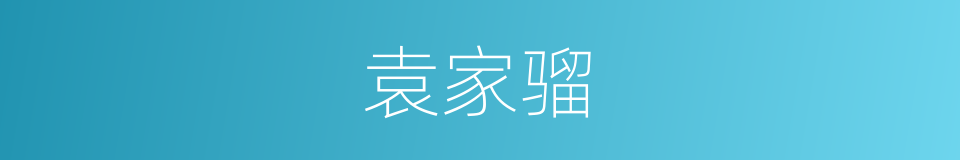 袁家骝的同义词