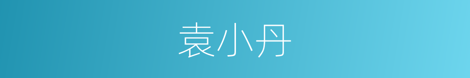 袁小丹的同义词