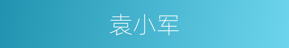 袁小军的同义词