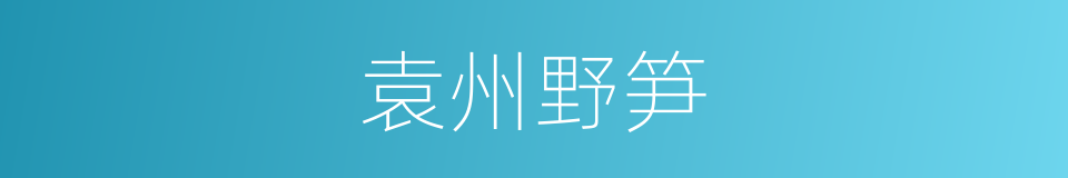 袁州野笋的意思