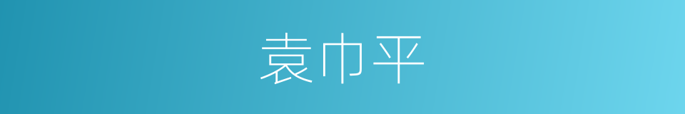 袁巾平的同义词