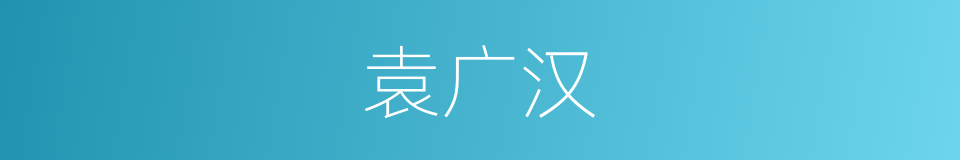 袁广汉的同义词