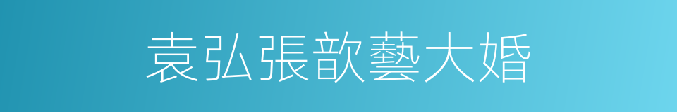 袁弘張歆藝大婚的同義詞