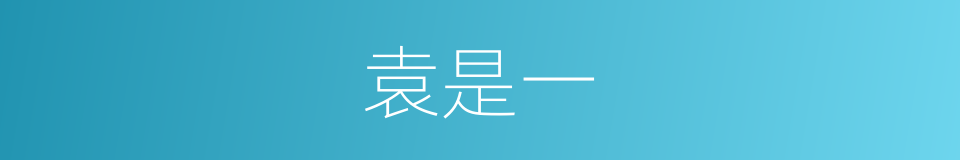 袁是一的同义词