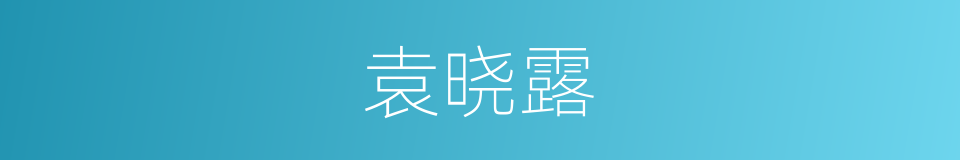 袁晓露的同义词