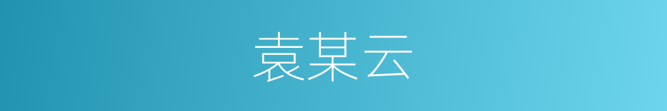 袁某云的同义词