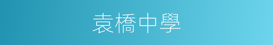 袁橋中學的同義詞