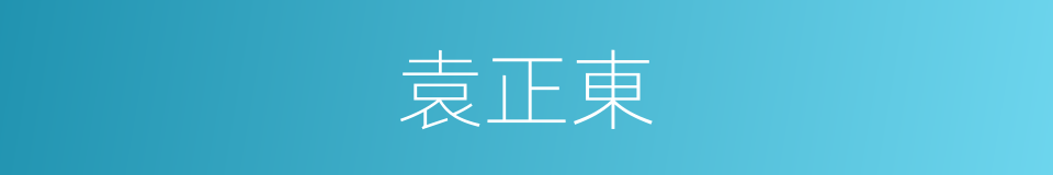 袁正東的同義詞