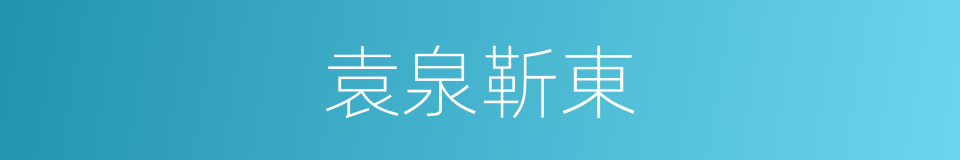 袁泉靳東的同義詞
