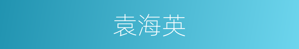 袁海英的同义词