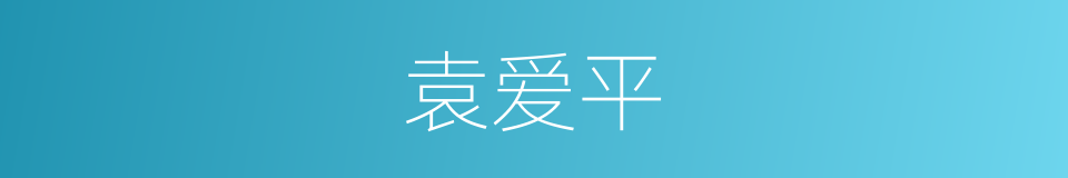袁爱平的同义词