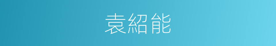 袁紹能的同義詞
