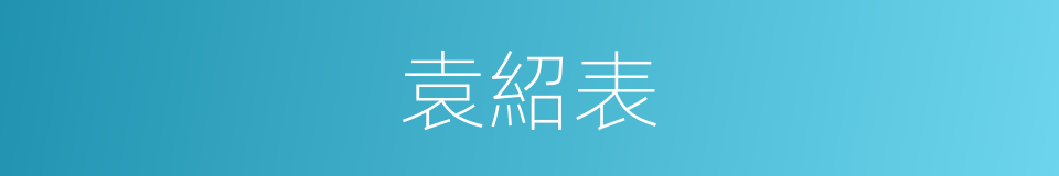 袁紹表的同義詞