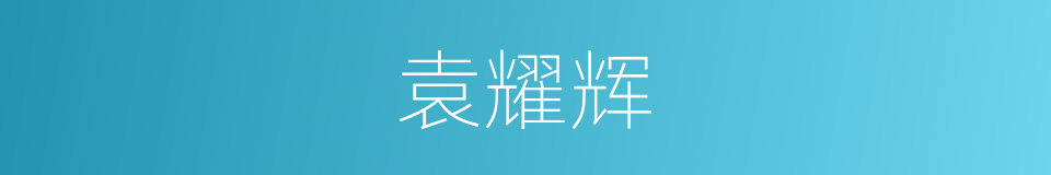 袁耀辉的同义词