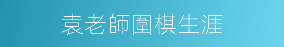 袁老師圍棋生涯的同義詞