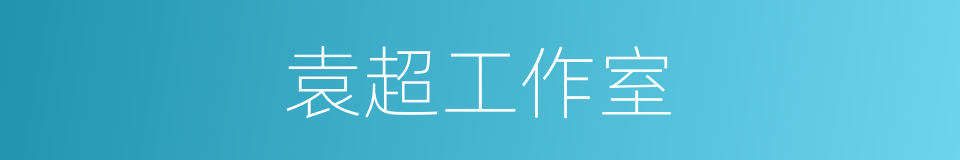 袁超工作室的同义词