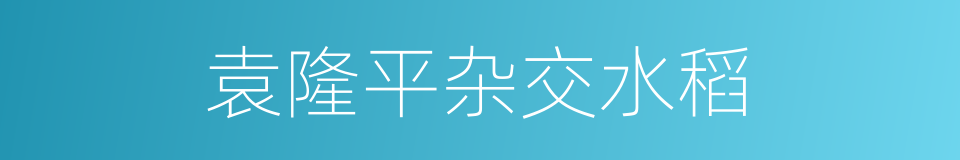 袁隆平杂交水稻的同义词