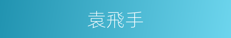 袁飛手的同義詞