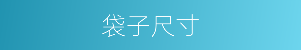 袋子尺寸的同义词