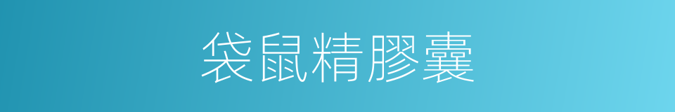 袋鼠精膠囊的同義詞