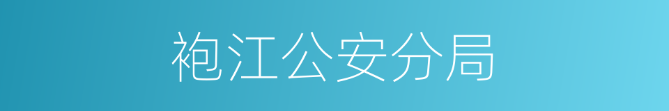 袍江公安分局的同义词