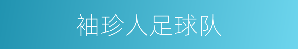 袖珍人足球队的同义词