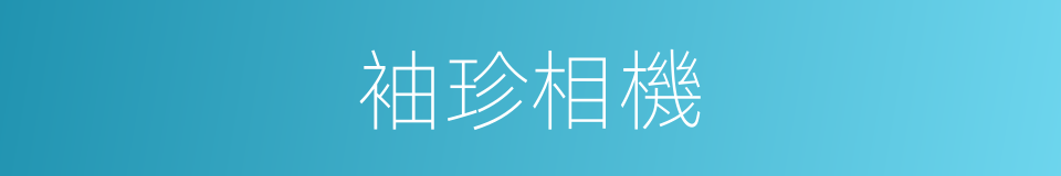 袖珍相機的同義詞