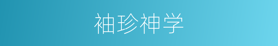 袖珍神学的同义词