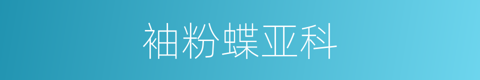 袖粉蝶亚科的同义词