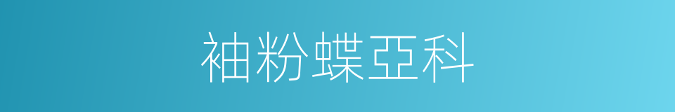 袖粉蝶亞科的同義詞
