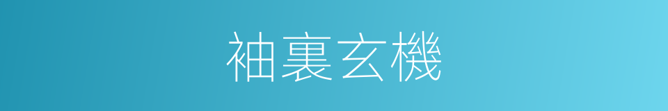 袖裏玄機的意思