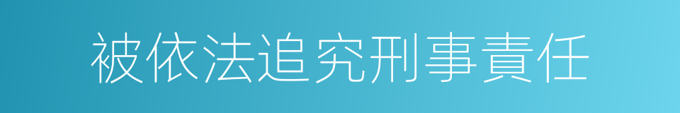 被依法追究刑事責任的同義詞