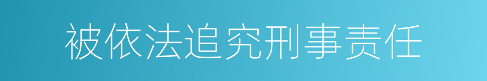 被依法追究刑事责任的同义词