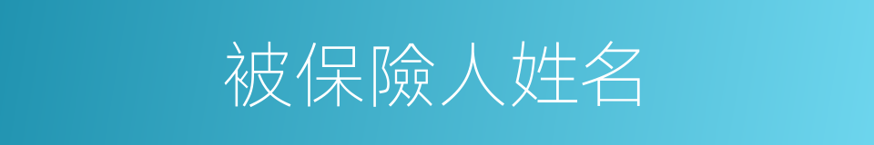 被保險人姓名的同義詞