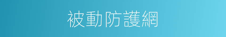 被動防護網的同義詞