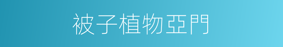 被子植物亞門的同義詞