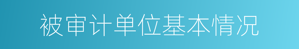 被审计单位基本情况的同义词