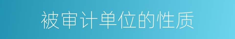 被审计单位的性质的同义词