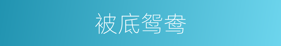 被底鸳鸯的意思