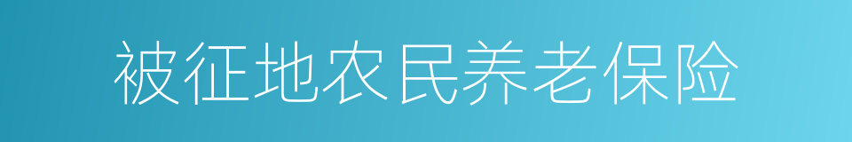 被征地农民养老保险的同义词