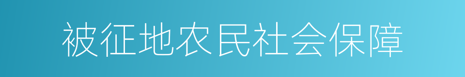 被征地农民社会保障的同义词