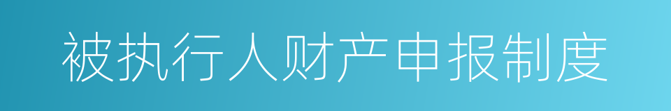 被执行人财产申报制度的同义词