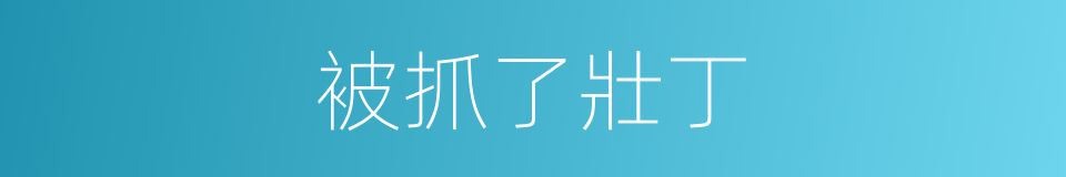 被抓了壯丁的同義詞