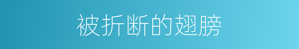 被折断的翅膀的同义词